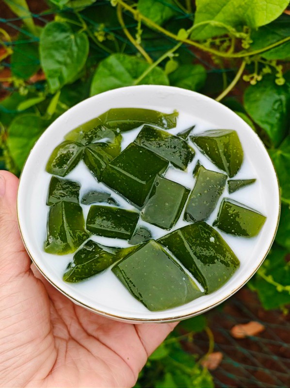 Thương lá sâm vò