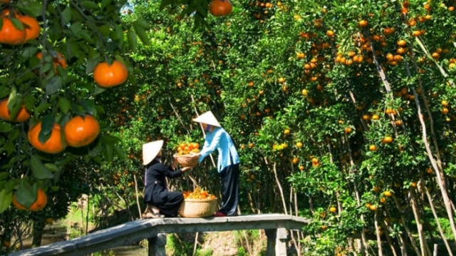 Xứ sở trái cây