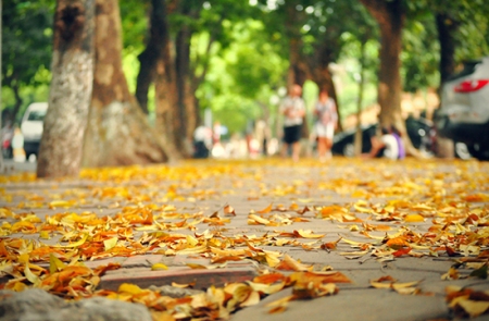 Hà Nội cuối mùa Thu