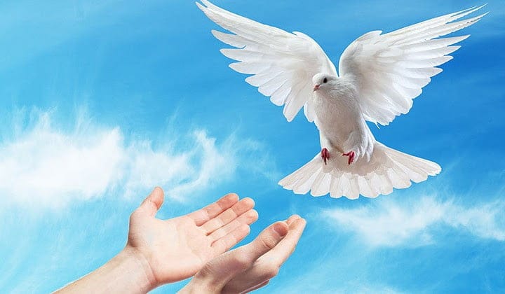 Chúa Thánh Thần hoạt động trong thế gian