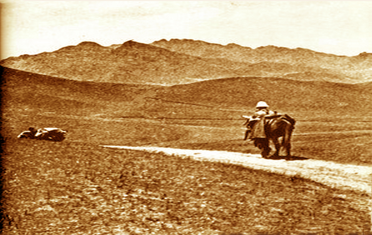 cao nguyên Mông Cổ năm 1924