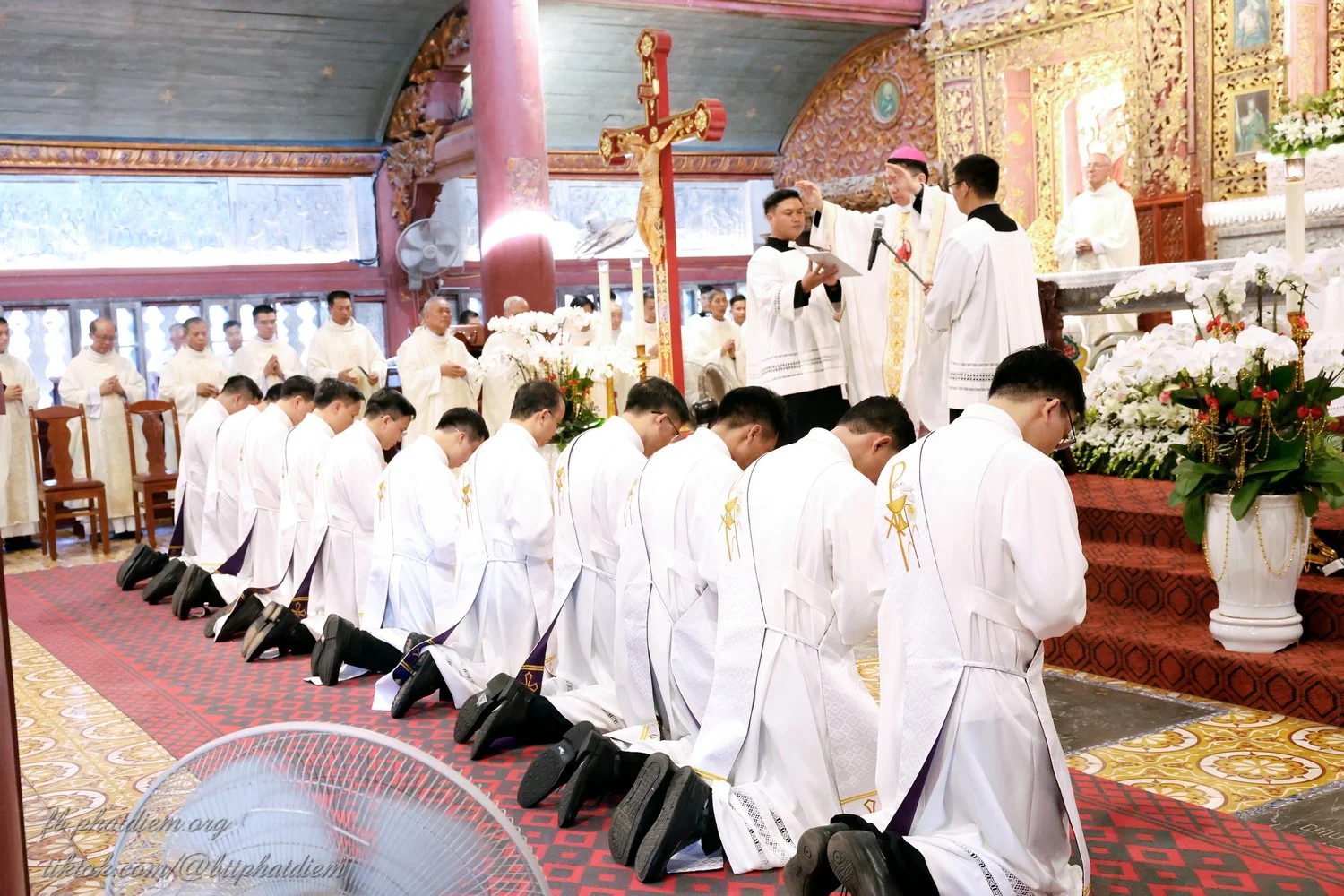 Truyền chức linh mục tại giáo phận Phát Diệm