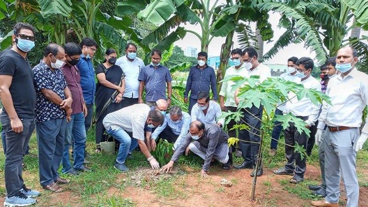 Giáo hội tại Bangladesh trồng một triệu cây xanh vì môi trường